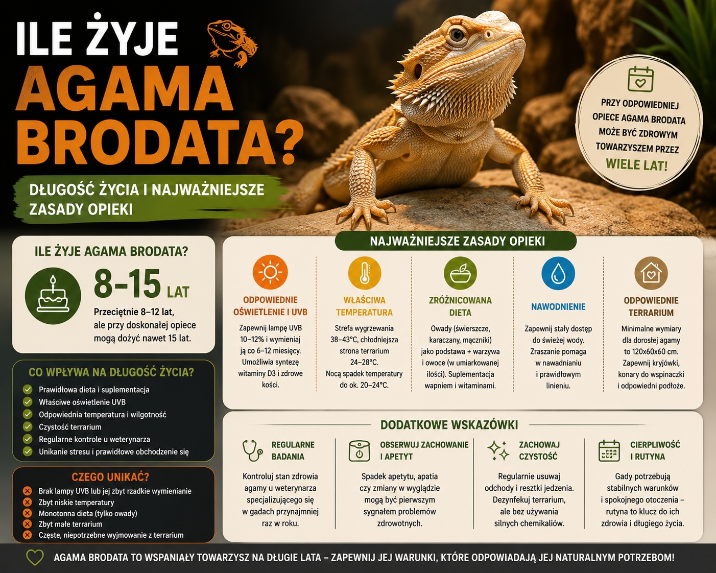 Ile żyje agama brodata